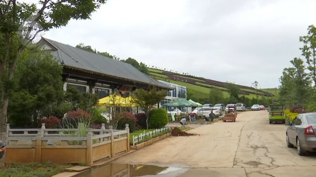 8099999街头巷尾微信