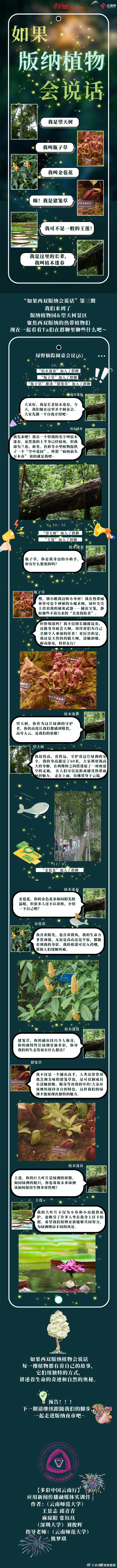如果西双版纳植物会说话