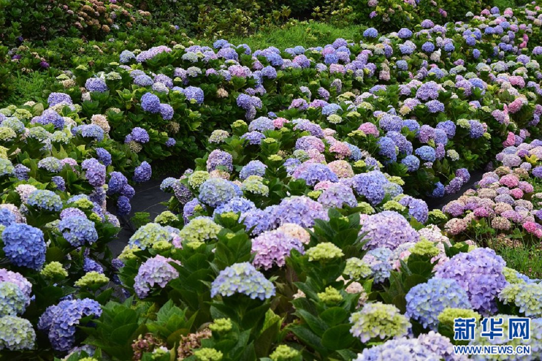 云南省文化和旅游厅