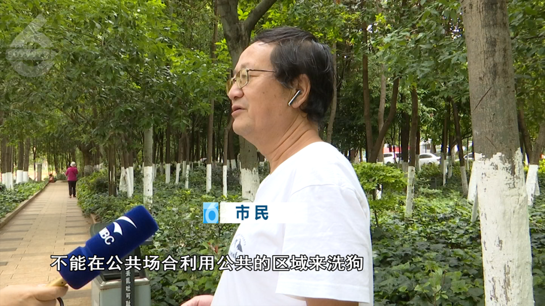 8099999街头巷尾微信