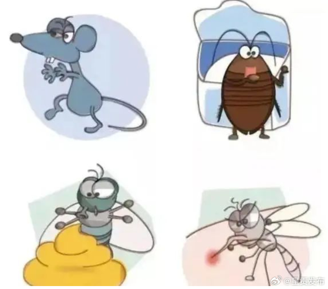 健康宣传 | 爱国卫生运动知识科普