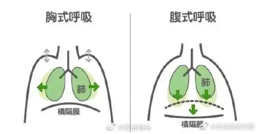 腹式呼吸为什么能助眠