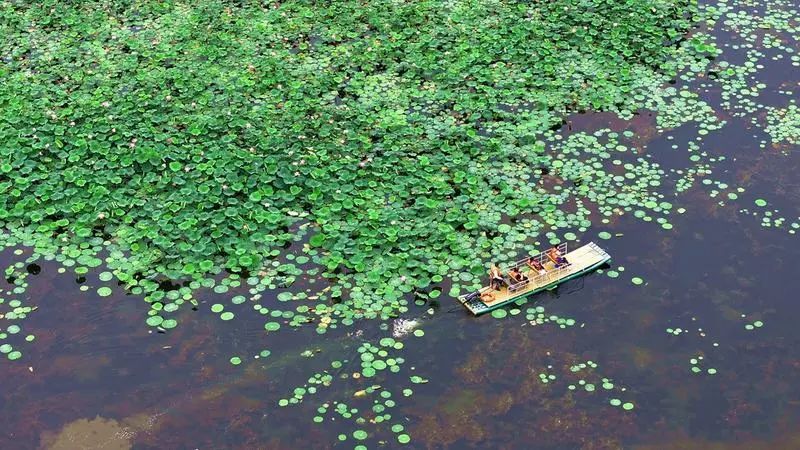 云南省文化和旅游厅