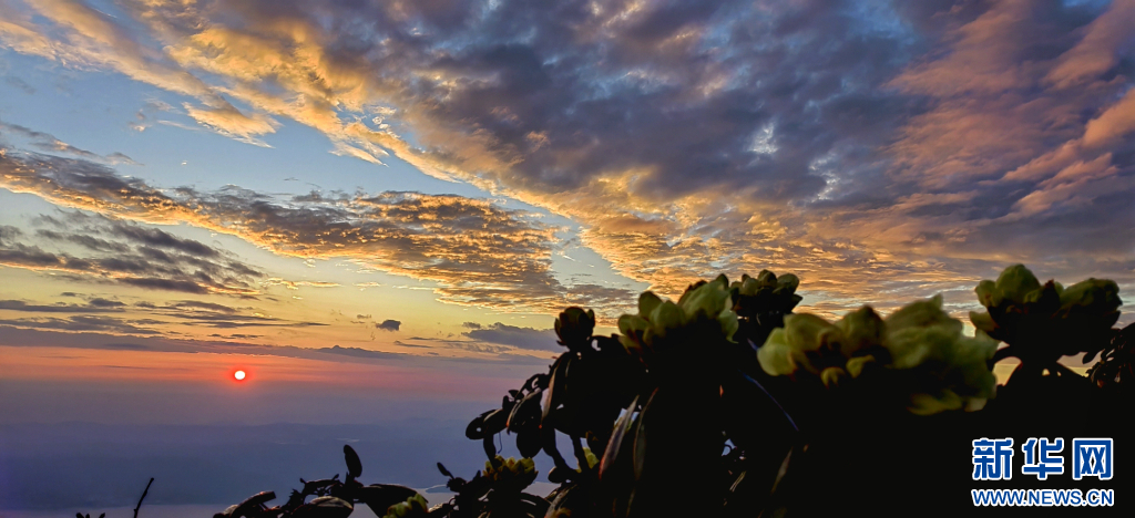 云南省文化和旅游厅