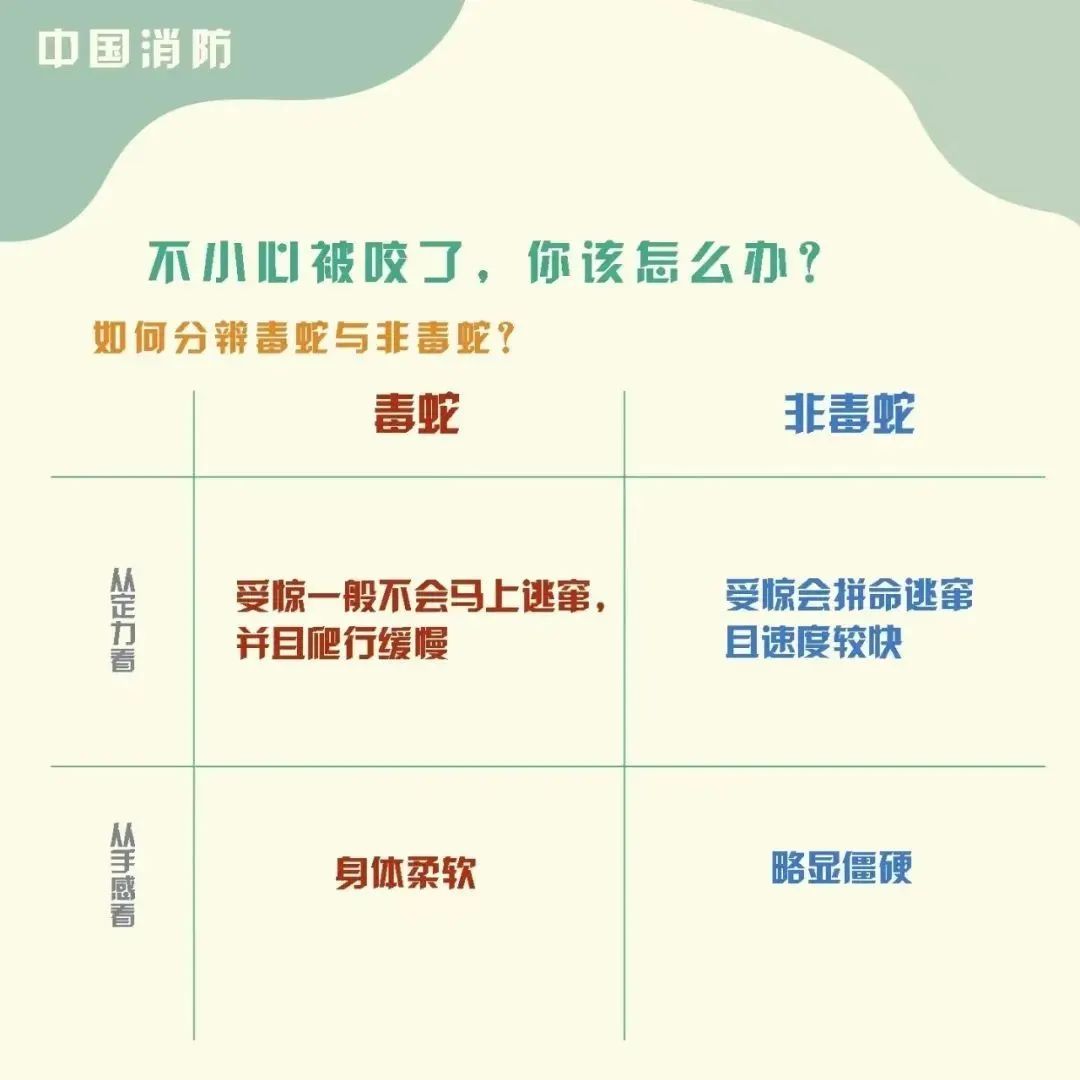 8099999街头巷尾微信