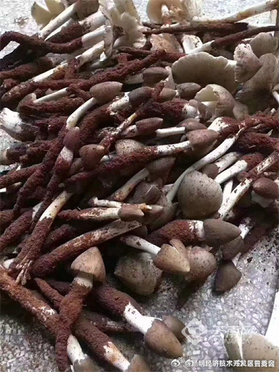 昆明经济技术开发区管委会