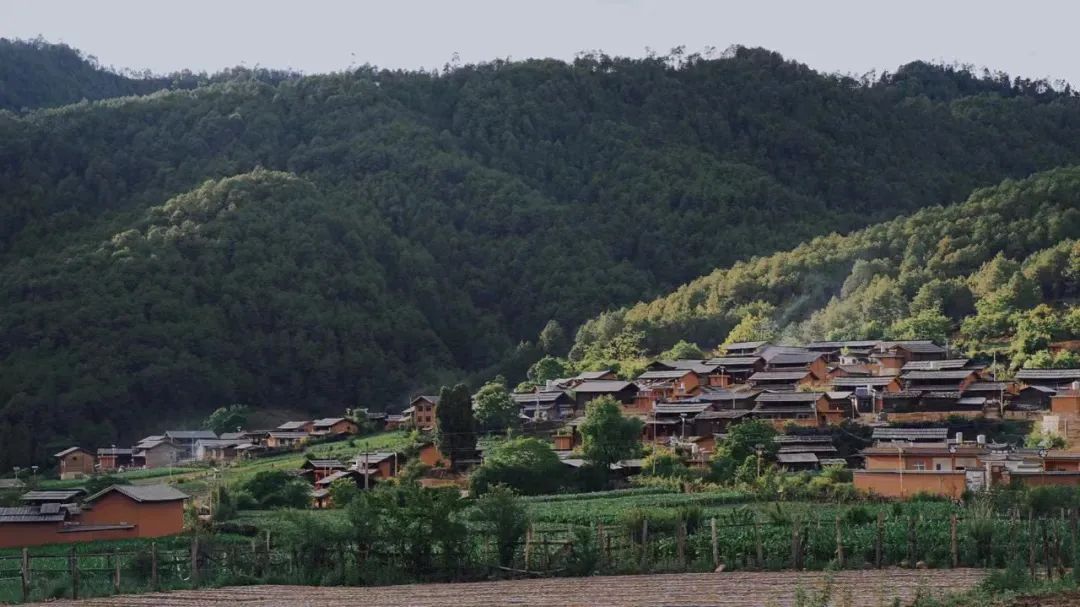 云南省文化和旅游厅