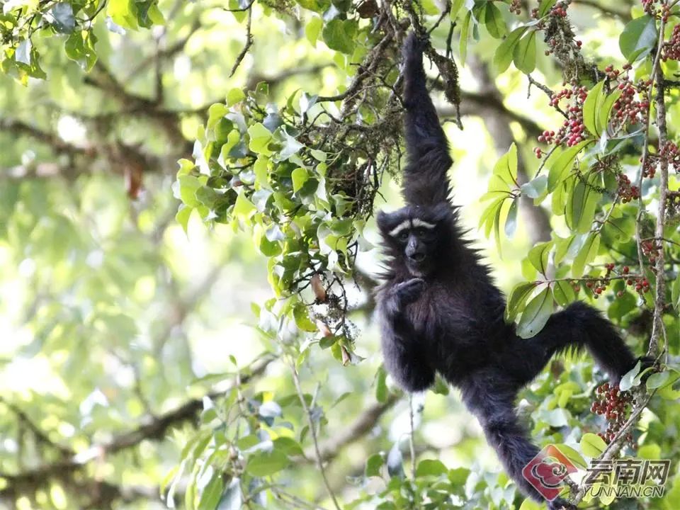 云南省文化和旅游厅