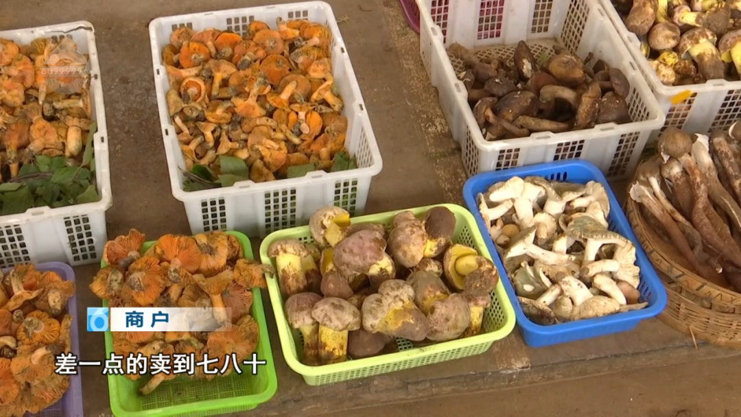 8099999街头巷尾微信