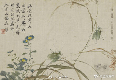 呈贡发布