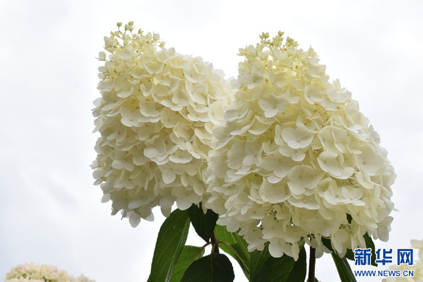 云南省文化和旅游厅