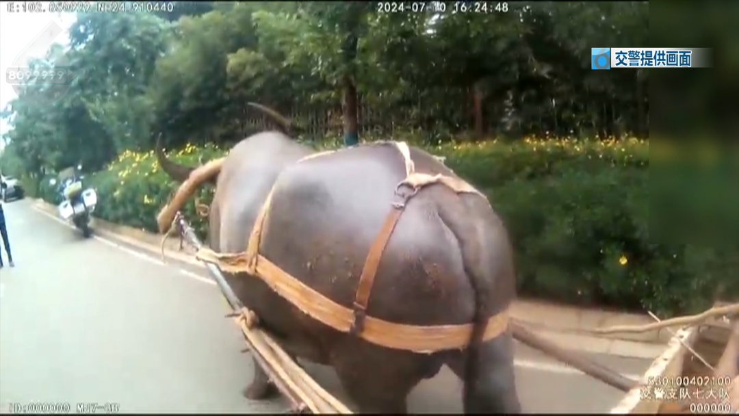 8099999街头巷尾微信