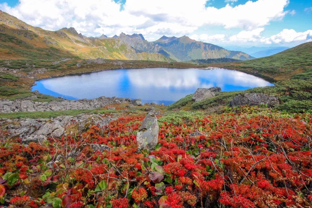 云南省文化和旅游厅