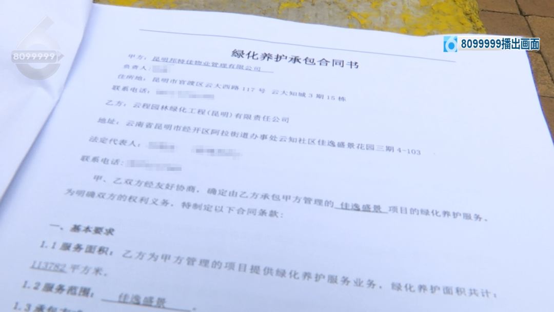 8099999街头巷尾微信