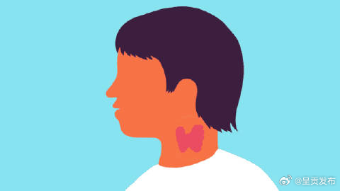 怕热怕冷都要查查甲状腺 