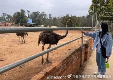 昆明经济技术开发区管委会