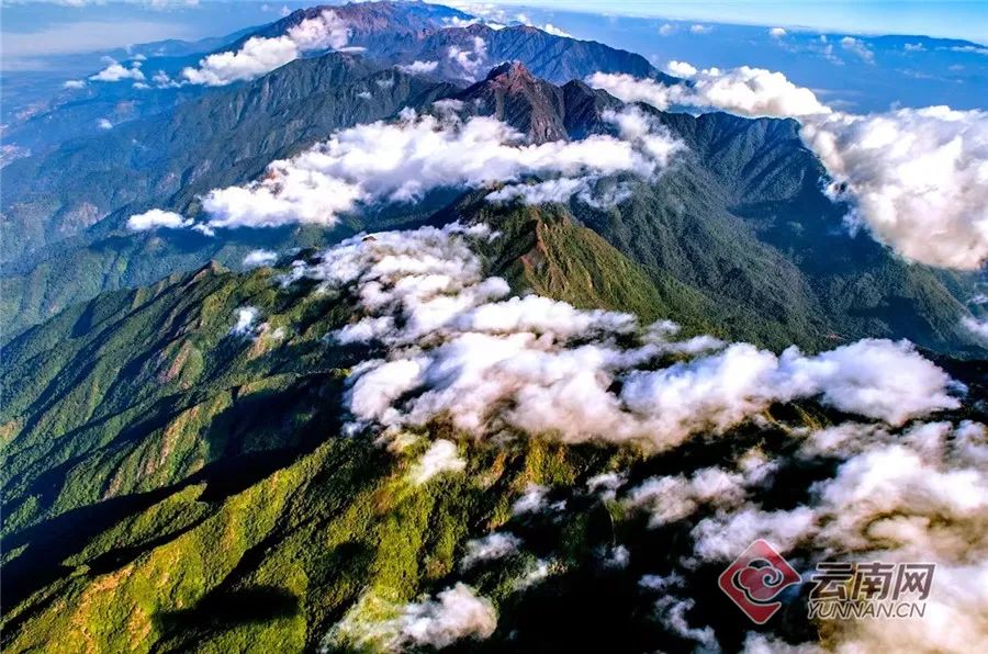 云南省文化和旅游厅