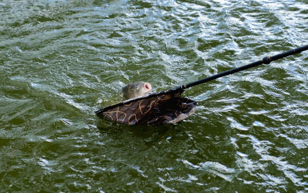 晋宁诗意的栖居地