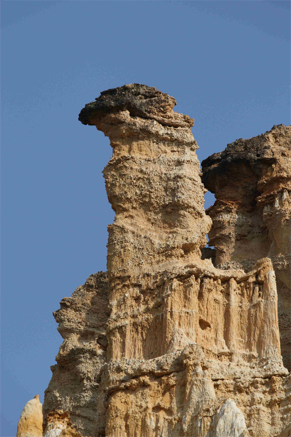 云南省文化和旅游厅