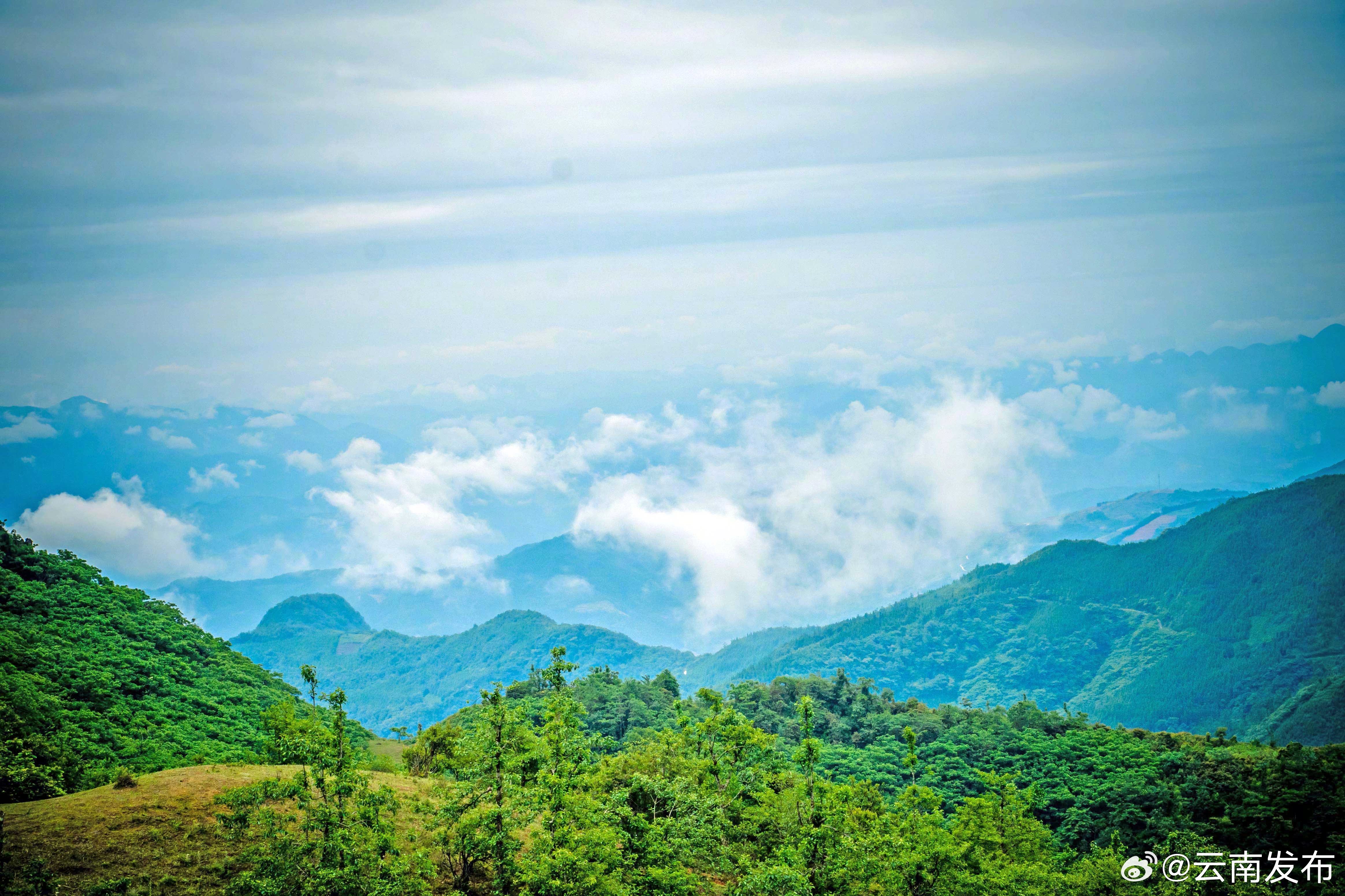 云南发布