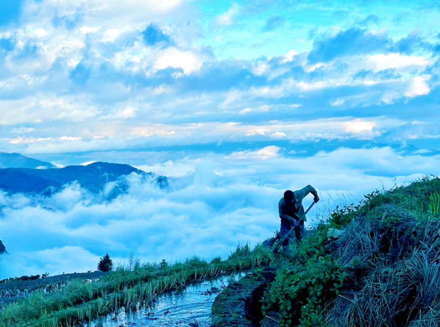 云南省文化和旅游厅