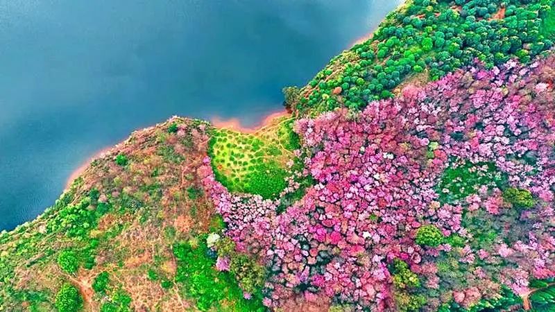 云南省文化和旅游厅