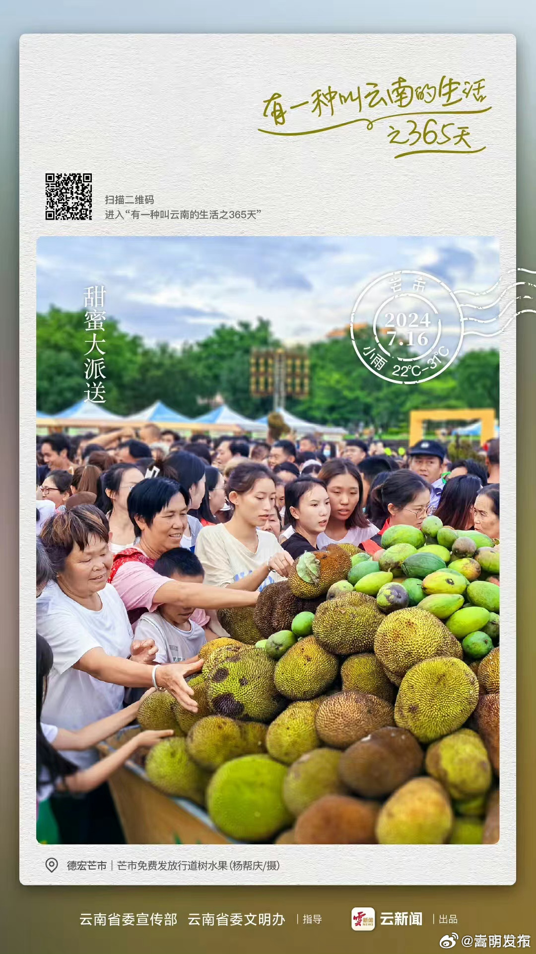 实名羡慕！行道树水果免费送——有一种叫云南的生活之365天