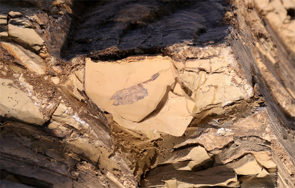 云南省文化和旅游厅