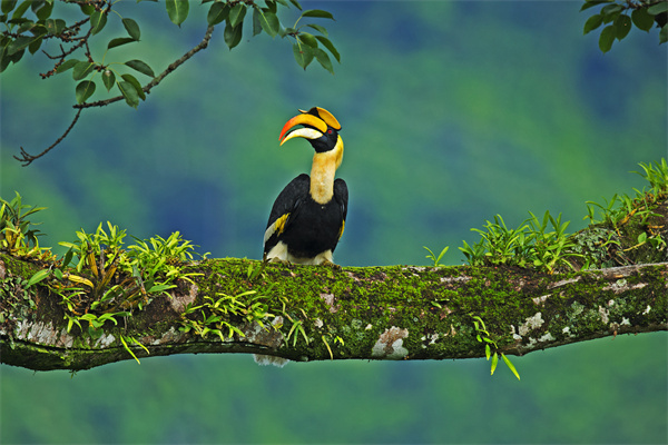 云南省文化和旅游厅