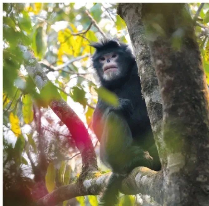 云南省文化和旅游厅