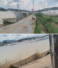 晋宁诗意的栖居地