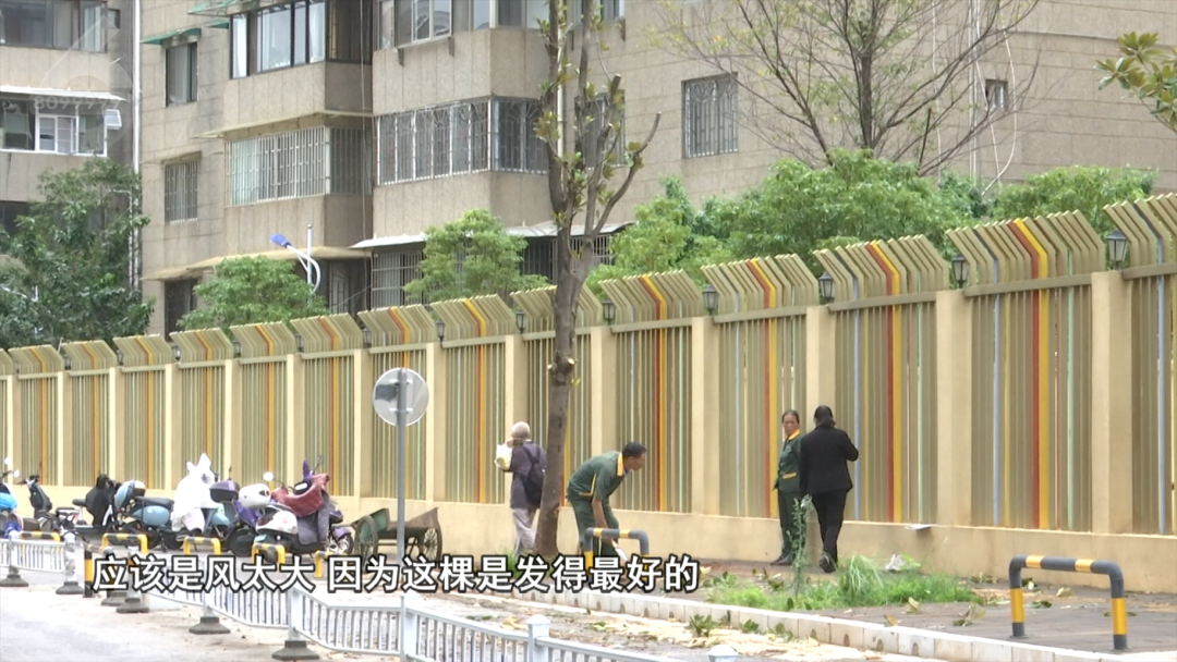 8099999街头巷尾微信