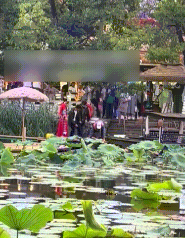 8099999街头巷尾微信