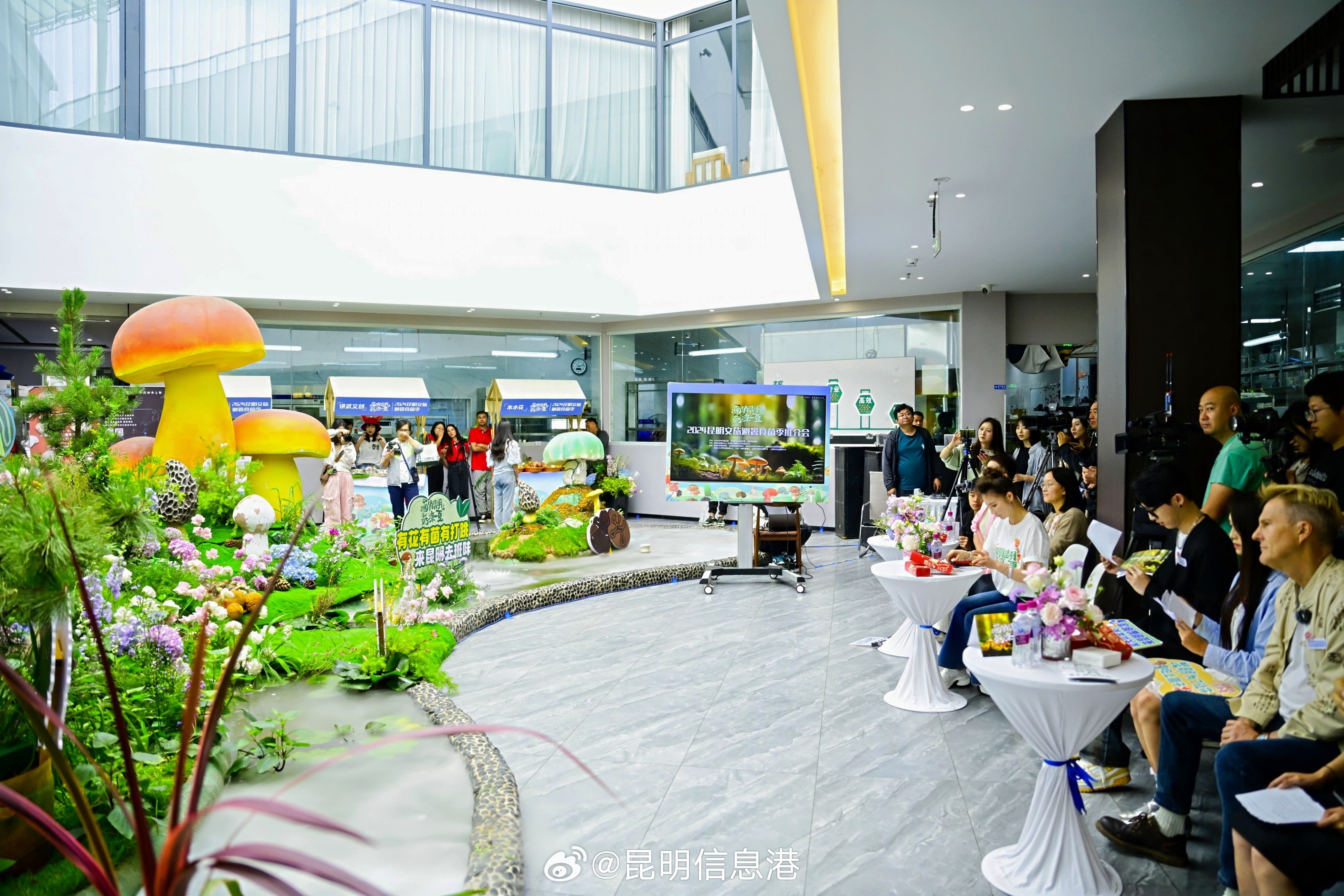 昆明信息港微博