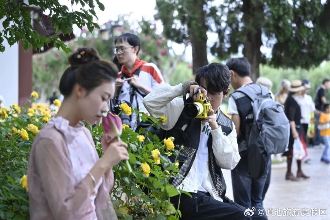 “九夏芙蓉•大观盛景”点亮滇池主题摄影活动圆满落幕