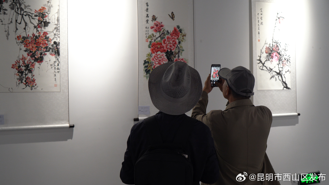 昆明市西山区发布