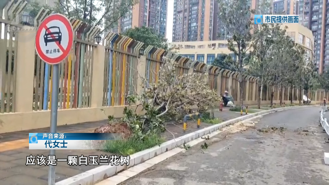 8099999街头巷尾微信