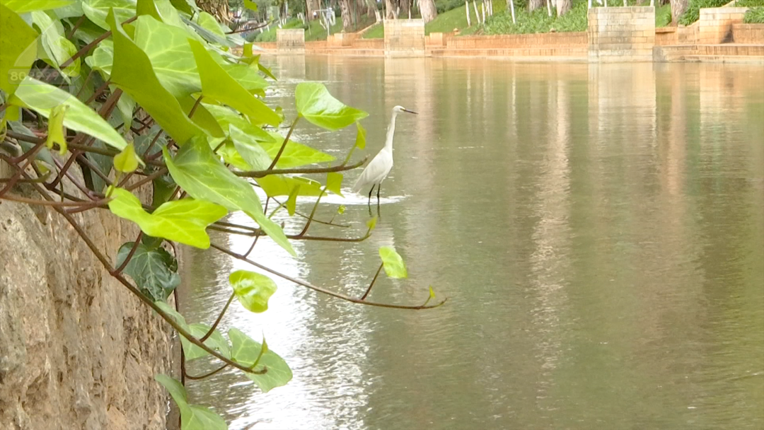 8099999街头巷尾微信