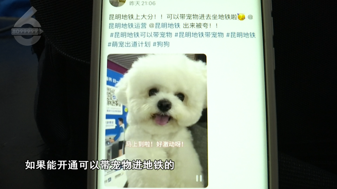 8099999街头巷尾微信