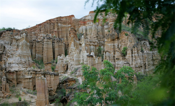 云南省文化和旅游厅