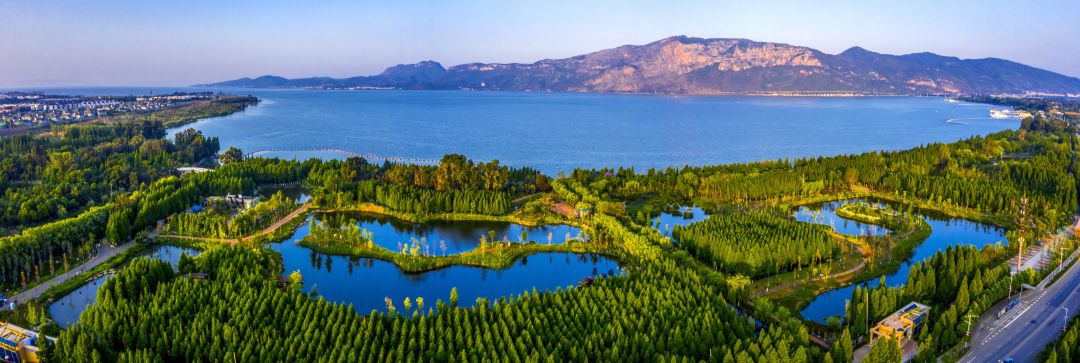 云南省文化和旅游厅