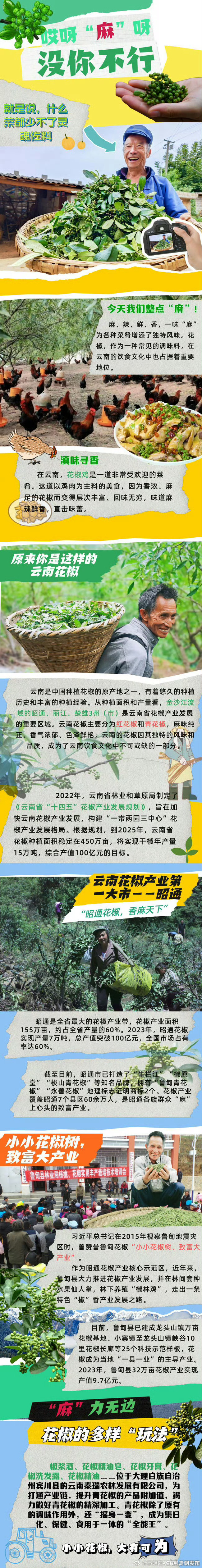 嵩明发布