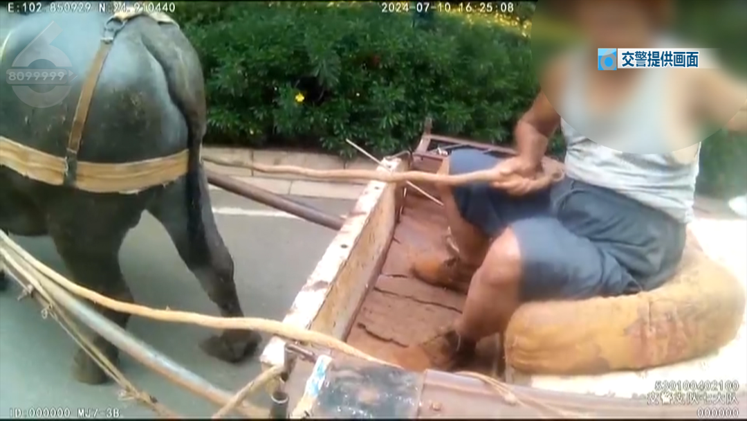 8099999街头巷尾微信