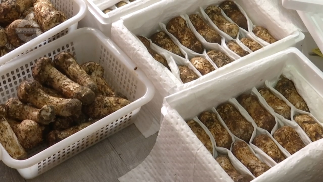 8099999街头巷尾微信