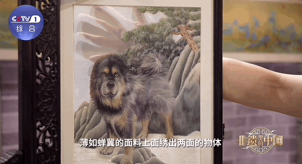 FM105城市生活广播