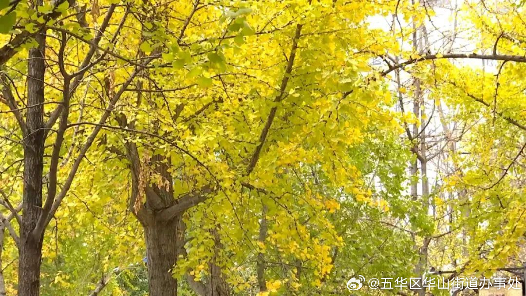 美好生活在云南 | 重构附近，让历史徜徉在生活中