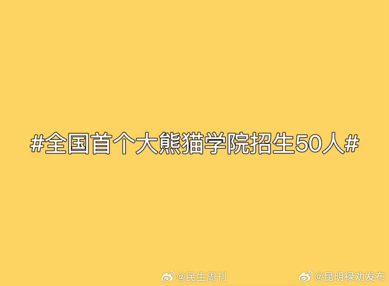 全国首个大熊猫学院招生50人