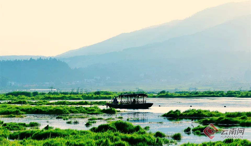 云南省文化和旅游厅