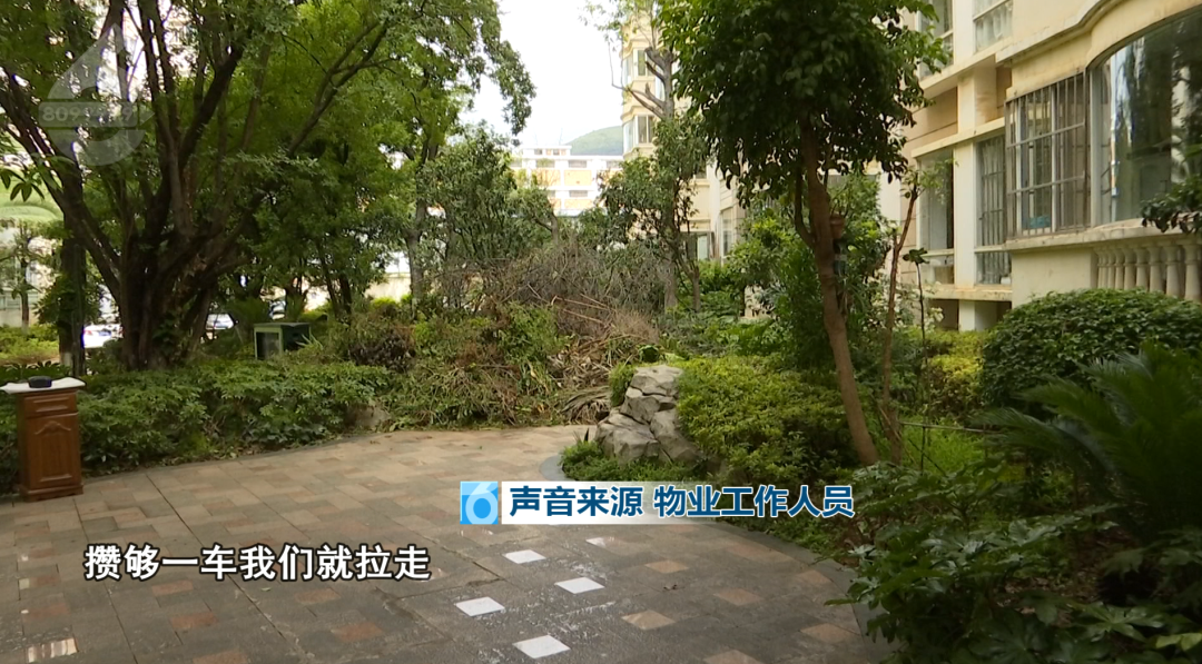 8099999街头巷尾微信