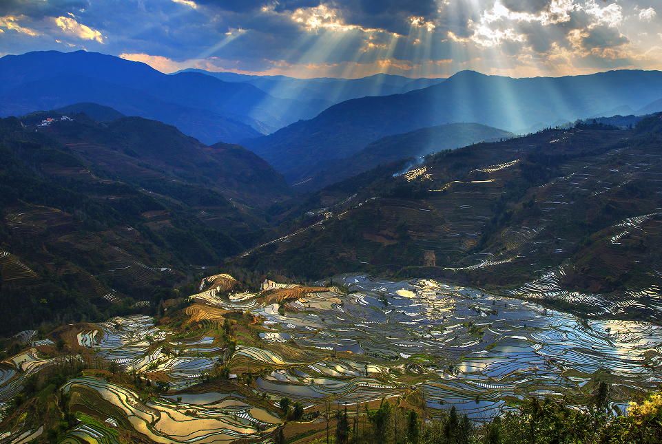 云南省文化和旅游厅